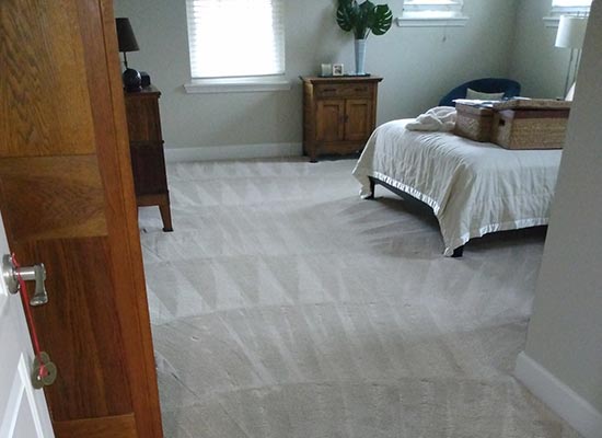 carpet cleaning